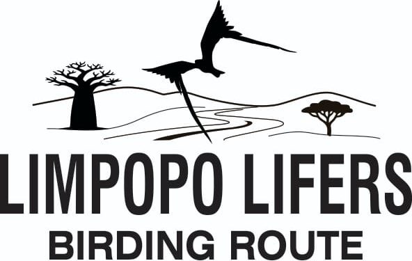 North East Limpopo Birding
